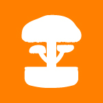 NFT